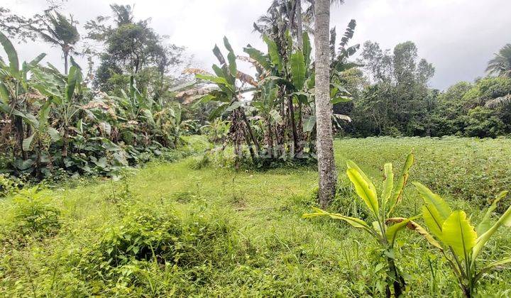 R08084 Dijual Dan Disewakan Rumah Dengan View Sawah Abadi di Jalan Pantai  2