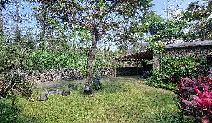 R08149 Beachfront Exclusive Spacious Rustic Villa Walking Distance To Saba Beach Gianyar 2