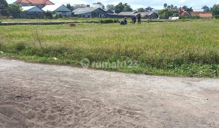 R08176 For Rent Cheap Land Itr Yellow 10 To 45 Are In Kerobokan Kesambi Kedampang Near Seminyak Badung 1