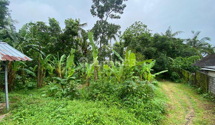 0103005R Tanah View Sawah Sungai Dan Hutan di Tanah Lot Tabanan Dkt Kedungu 1