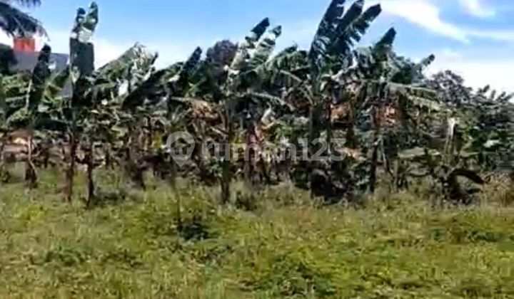 Tanah Strategis Di Cisauk Bsd