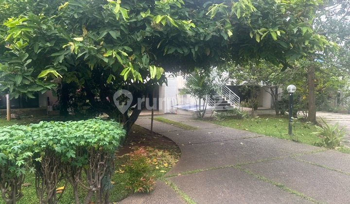 Kawasan Rindang Banyak Pepohonan Kebon Jeruk,