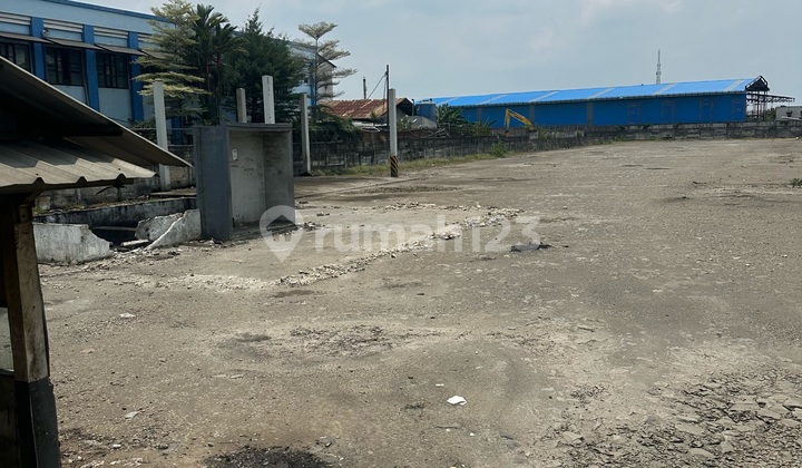 Cacing Raya Strategis Siap Pakai Cacing Raya Strategis Siap Pakai