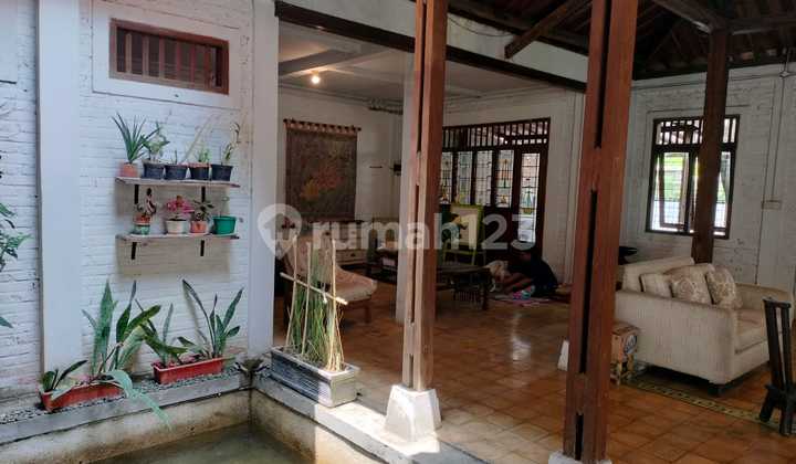 Comfortable & Serene Home Comfortable & Serene Home