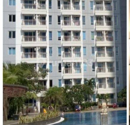 Apartemen Orchard Surabaya Murah ( VIN.A415 ) 1