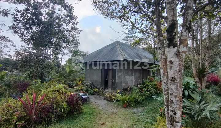 Dijual Villa Bagus dan terawat siap pakai di Kopeng - Salatiga 8