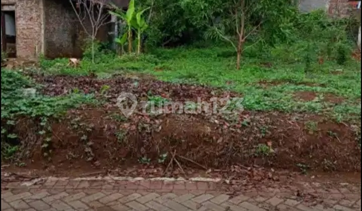 Dijual Tanah Siap Bangun Dekat Kampus Undip Tembalang, Semarang 1