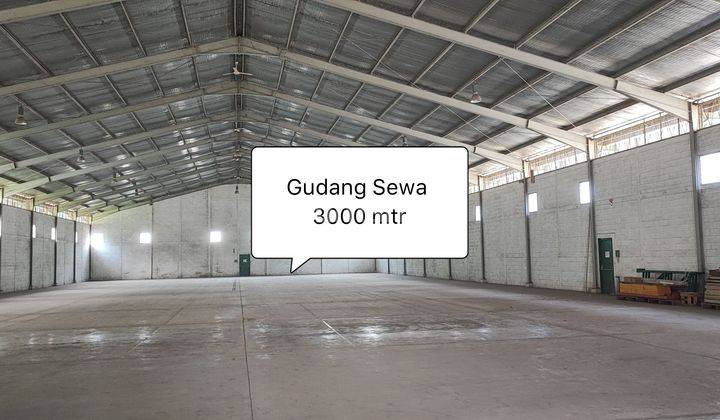 Gudang Sewa Plus Loading Dock Dan Kantor 3000 MTR Makassar Siap Pakai  1