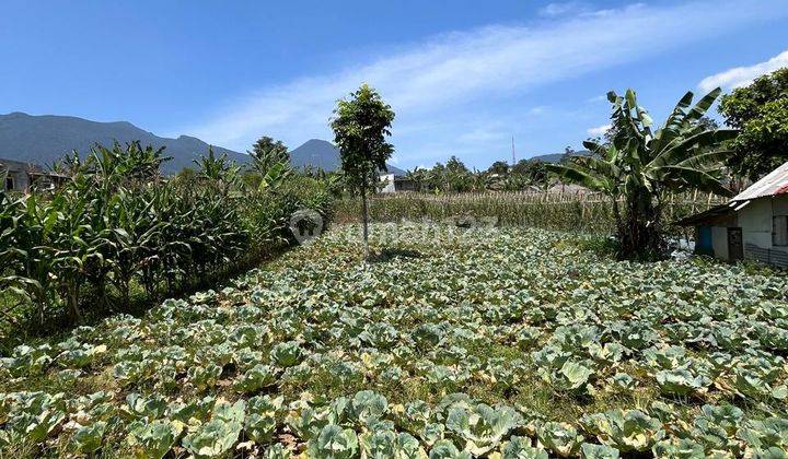 Tanah Villa Murah di Puncak Pacet Sekitar Istana Cipanas View Gunung 1