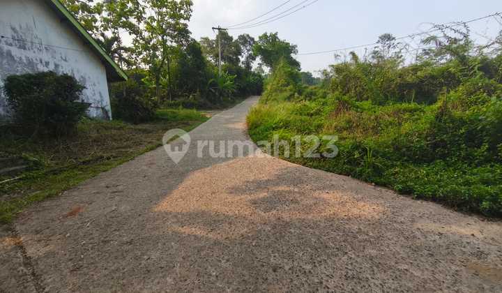 Tanjungsari Sukarasa Tanah SHM Landai Akses Mobil Mudah Harga Murah Tanjungsari Sukarasa Tanah SHM Landai Akses Mobil Mudah Harga Murah