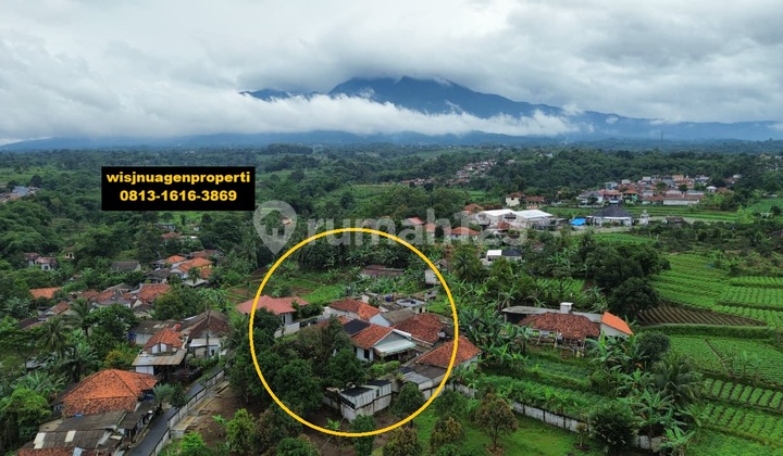 Ideal Complete House Villa with Pond Garden Livestock View of Mount Salak in Purwasari Dramaga