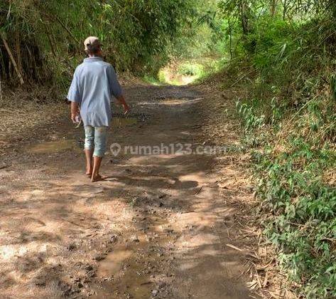 Tanah Dekat Angkot Ciharashas Cilaku Cianjur Akses Mobil 1