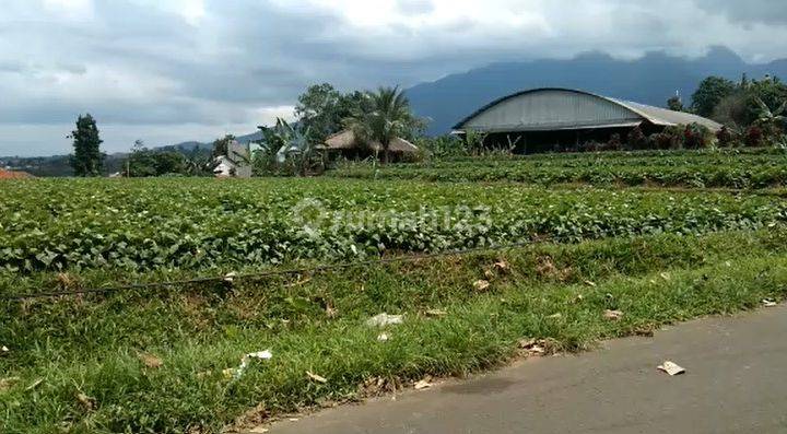 Tanah Pinggir Jalan Gunung Bunder Dekat Taman Nasional Halimun 1