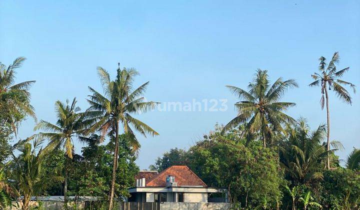 Villa Baru Pinggir Sawah View Gunung di Piyungan Bantul  1