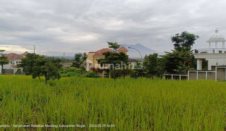 Jual Rugi Murah Sierra Madre Sentul City View Gunung 1