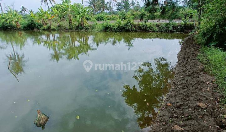 Tanah Murah Karangtengah Akses Motor Dekat Lingkar Selatan Cianjur 2