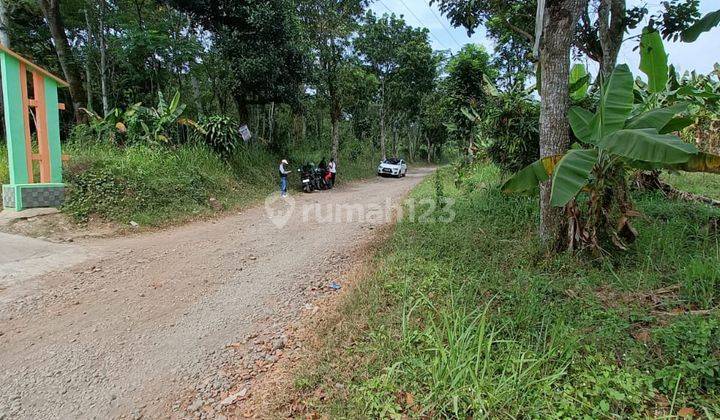 Tanah Hunian Cilaku 5m Dari Pasar Dan Terminal Pasir Hayam Cianjur 2