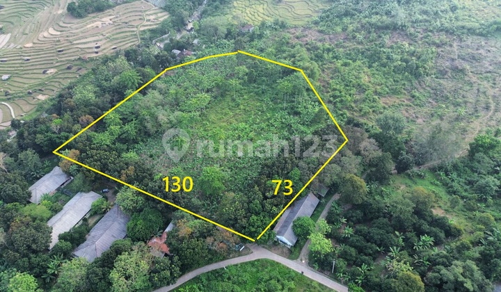 Tanjungsari Sukarasa Tanah SHM Landai Akses Mobil Mudah Harga Murah Tanjungsari Sukarasa Tanah SHM Landai Akses Mobil Mudah Harga Murah