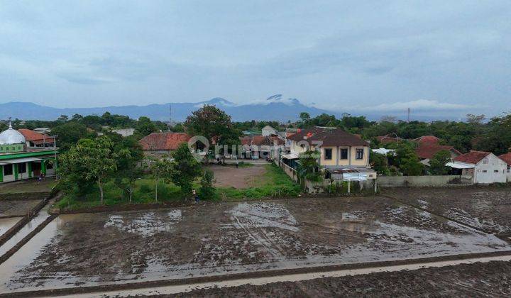 Sawah Dekat Puskesmas Sumbersari Ciparay 2