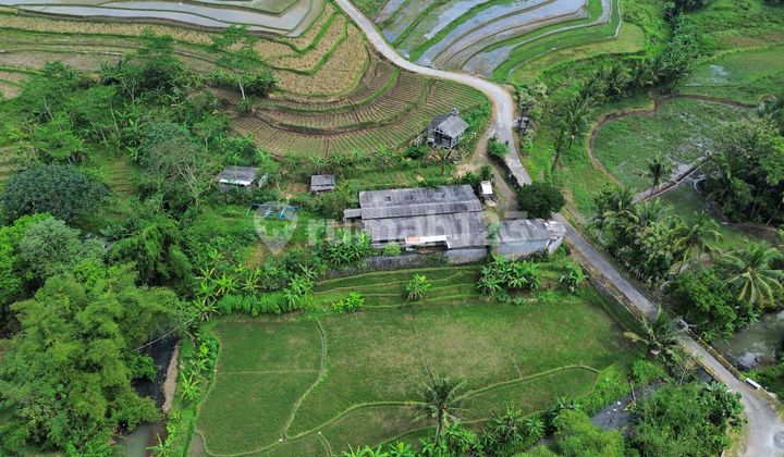 Tempuran Magelang Tanah Akses Mobil Murah dekat Kopral Purwadi