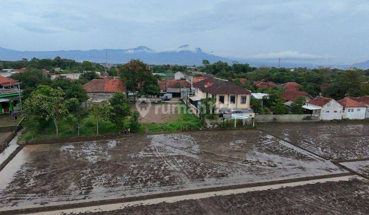 Sawah Dekat Puskesmas Sumbersari Ciparay 1