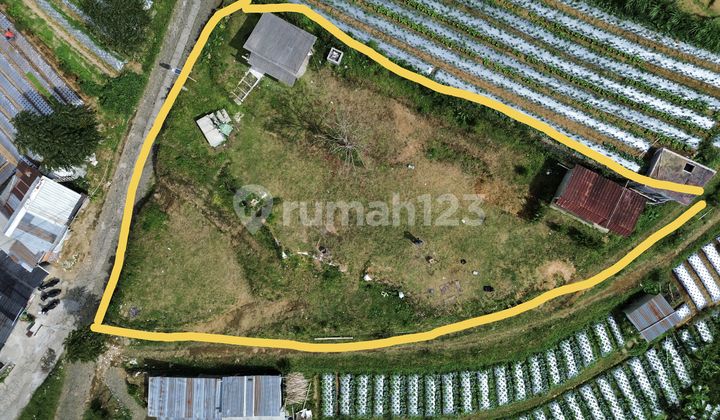 Tanah View Indah di Kaliangkrik daerah Wisata Magelang