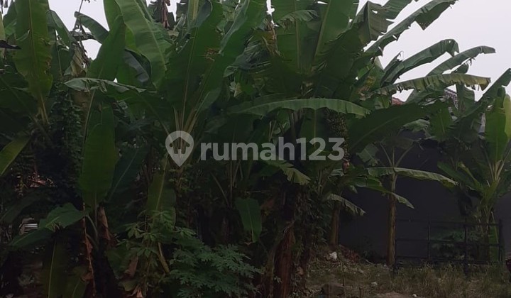 Di Jual Tanah Daerah Kecamatan Bojongsari Depok Di Jual Tanah Daerah Kecamatan Bojongsari Depok