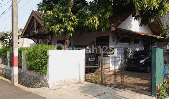 Dijual Rumah Tua Hitung Tanah di Ciracas Jakarta Timur Dijual Rumah Tua Hitung Tanah di Ciracas Jakarta Timur