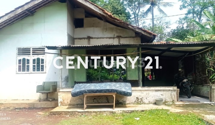 For Sale Land in Ci Seeng Area with Old House Bonus, Bogor Regency