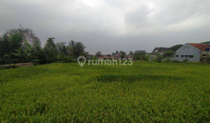 Tanah Luas Residensial Lokasi Strategis di Cugenang 1