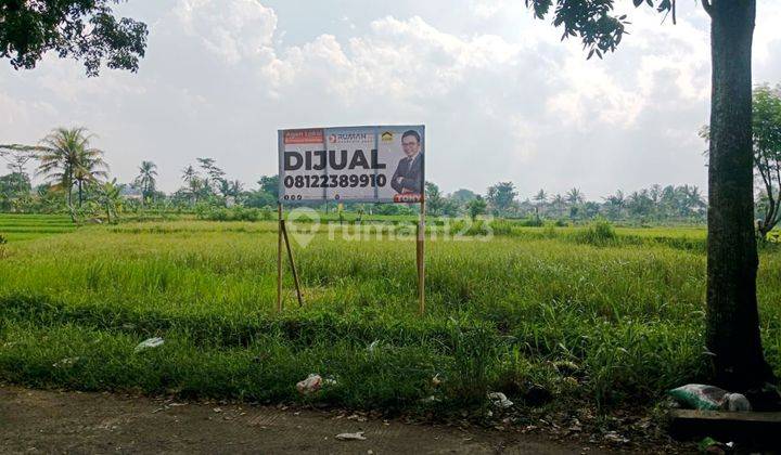 Tanah Sawah 3220 m2 di Karangtengah Dekat Pusat Kota Cianjur 1