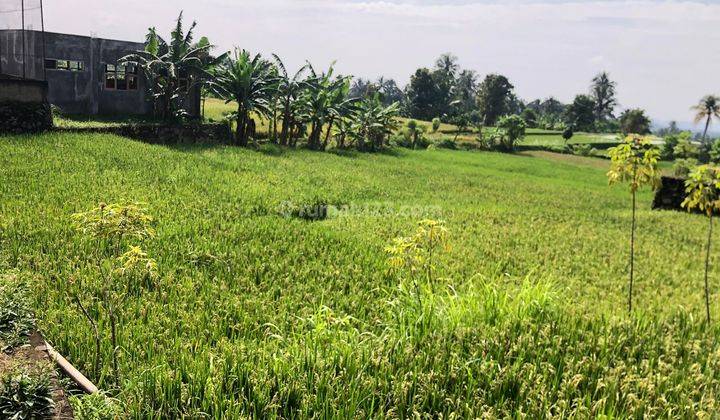 Tanah Di Jalan Raya Sukabumi Cianjur 1