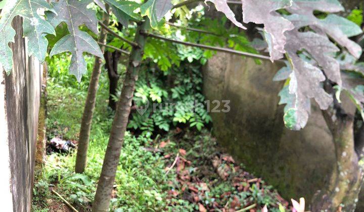 Rumah Siap Huni di Cugenang Dekat Ke Jalan Raya Cipanas - Cianjur 6