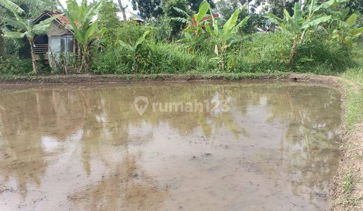 Tanah Strategis Di Pinggir Jalan Raya Lingkar Selatan Cianjur 2