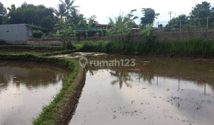 Tanah Strategis Di Pinggir Jalan Raya Lingkar Selatan Cianjur 2