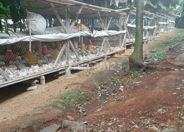 Kandang Dan Lahan Cocok Untuk Penghasilan Di Mande Cianjur 1