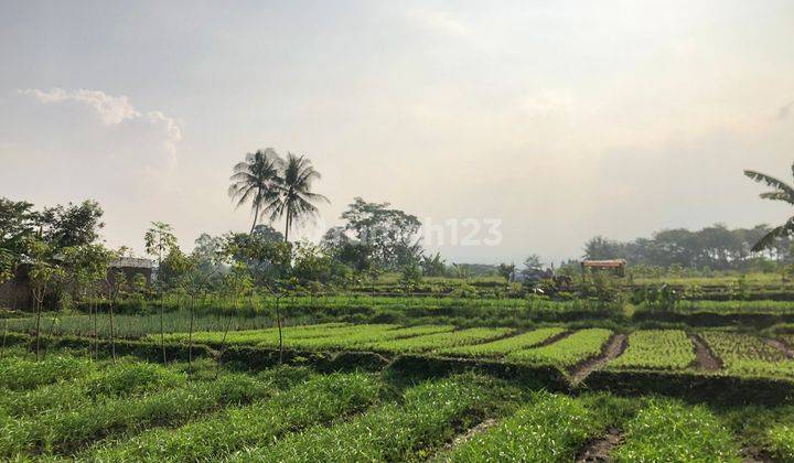 Tanah Produktif Bonus Bangunan 16000m2 Di Nagrak Cianjur Kota 2