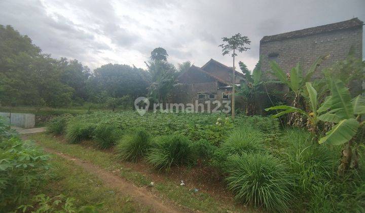 Tanah Murah 161m2 di Karangtengah, Cianjur 2