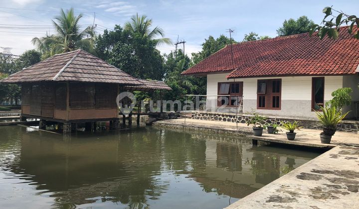 Rumah Kayu Siap Huni Luas 2680m2 Nyaman Asri di Cugenang Cianjur 4