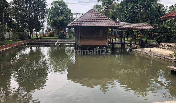 Rumah Kayu Siap Huni Luas 2680m2 Nyaman Asri di Cugenang Cianjur 5