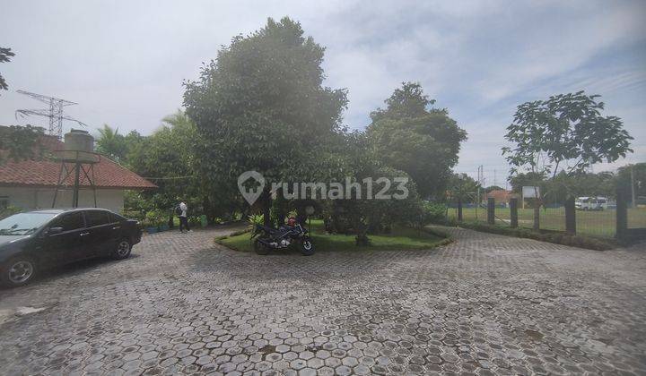 Rumah Kayu Siap Huni Luas 2680m2 Nyaman Asri di Cugenang Cianjur 8
