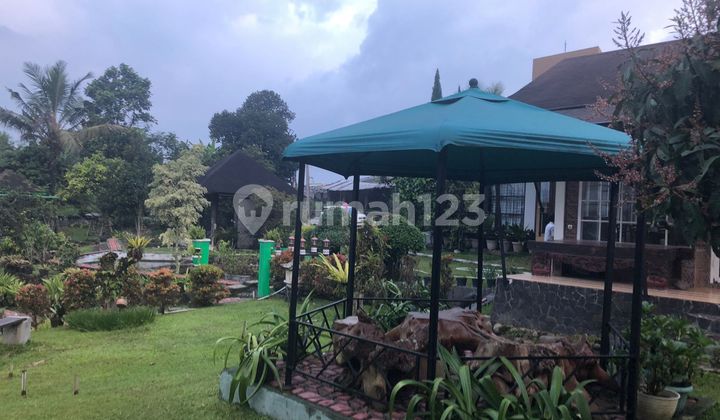 Villa Luas 3000m2 Siap Huni Dan Terawat Dkt Taman Bunga Nusantara 11