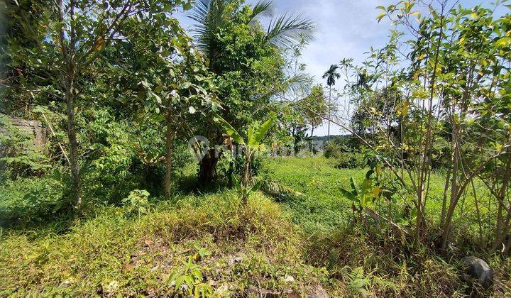 Tanah Darat Murahhh Cocok Utk Dibuat Hunian Daerah Warungkondang 7