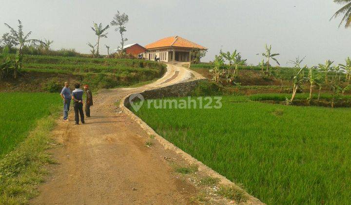 Cepat Tanah Murah Untuk Investasi di Sirnagalih Cilaku Cianjur  2