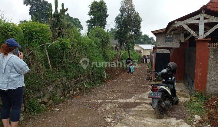 Cepat Tanah Murah Menguntungkan 4440m2 di Ciherang Pacet Cianjur 2