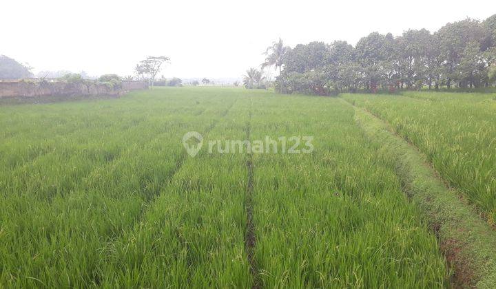 Tanah Murah Luas 5700m2 di Jl. Raya Cibeber Cianjur 2