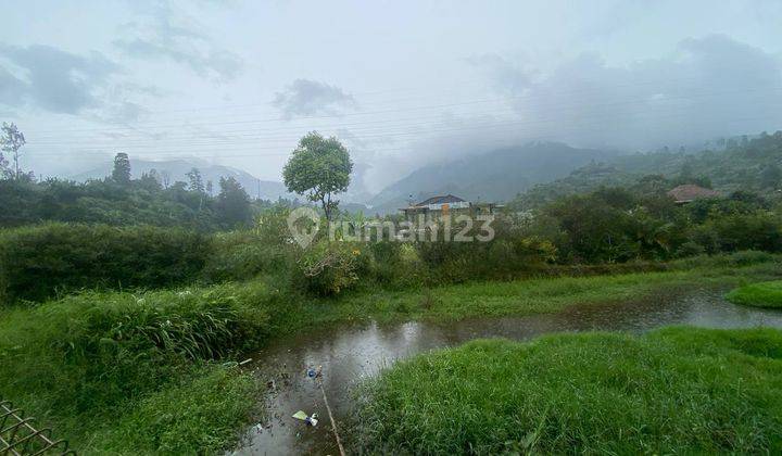 Tanah Murah Negotiable Strategis di Kebun Raya Cibodas Puncak 2