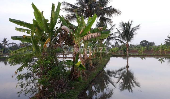 Tanah Luas Bagus Harga Murmer Siap Pakai  1