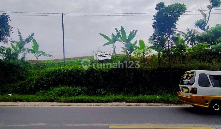 Tanah Luas di Jl. Raya Sukabumi Harga Murah 1