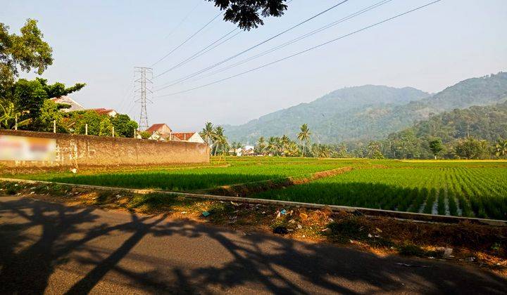 Tanah Sawah Luas Strategis di Samping Jalan Dekat Rsdh 1